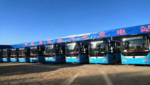 西運(yùn)集團(tuán)新能源充電站啟用暨3路公交開通與道路貨物運(yùn)輸站經(jīng)營啟動
